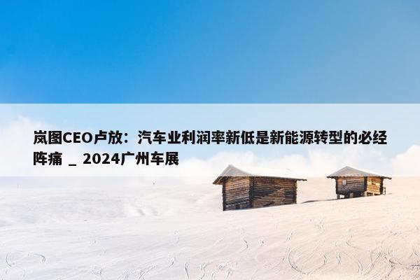 岚图CEO卢放：汽车业利润率新低是新能源转型的必经阵痛 _ 2024广州车展