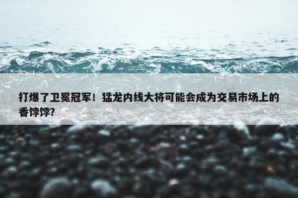 打爆了卫冕冠军！猛龙内线大将可能会成为交易市场上的香饽饽？