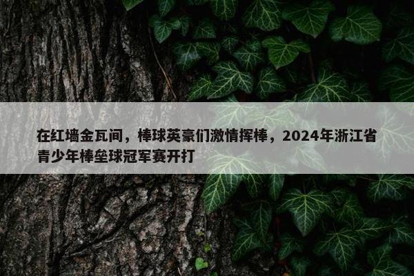 在红墙金瓦间，棒球英豪们激情挥棒，2024年浙江省青少年棒垒球冠军赛开打