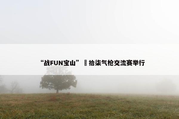 “战FUN宝山”極拾柒气枪交流赛举行