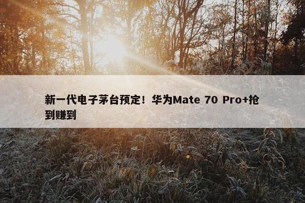 新一代电子茅台预定！华为Mate 70 Pro+抢到赚到