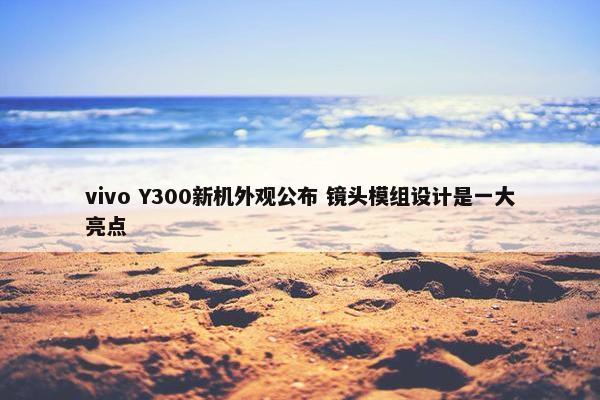 vivo Y300新机外观公布 镜头模组设计是一大亮点