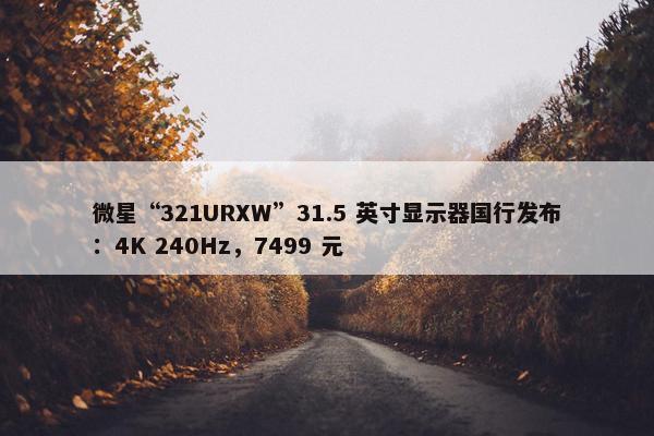 微星“321URXW”31.5 英寸显示器国行发布：4K 240Hz，7499 元