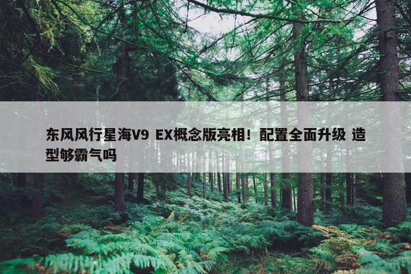 东风风行星海V9 EX概念版亮相！配置全面升级 造型够霸气吗