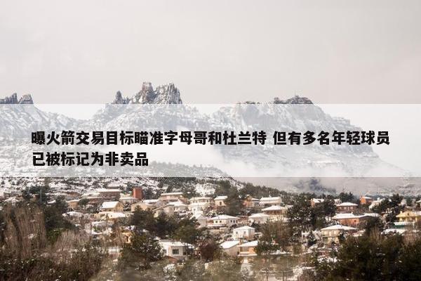 曝火箭交易目标瞄准字母哥和杜兰特 但有多名年轻球员已被标记为非卖品