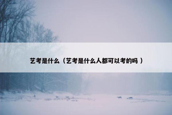 艺考是什么（艺考是什么人都可以考的吗 ）