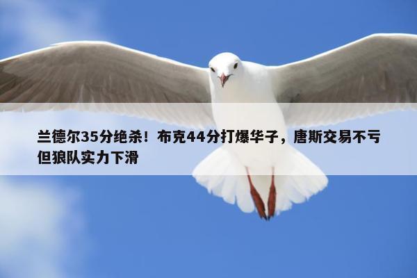 兰德尔35分绝杀！布克44分打爆华子，唐斯交易不亏但狼队实力下滑