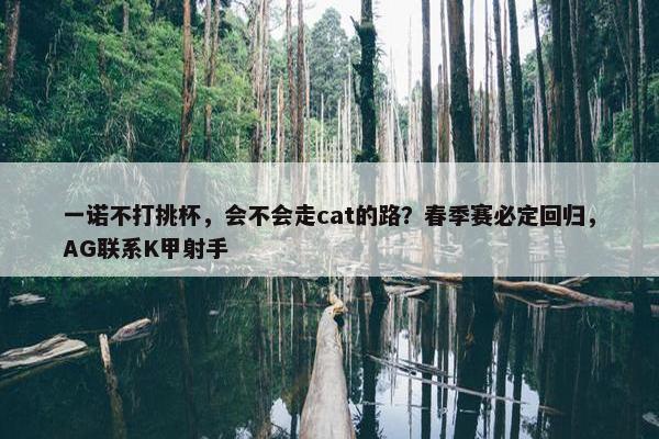 一诺不打挑杯，会不会走cat的路？春季赛必定回归，AG联系K甲射手