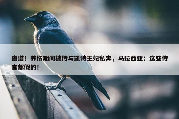 离谱！养伤期间被传与凯特王妃私奔，马拉西亚：这些传言都假的！