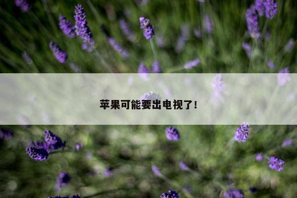 苹果可能要出电视了！