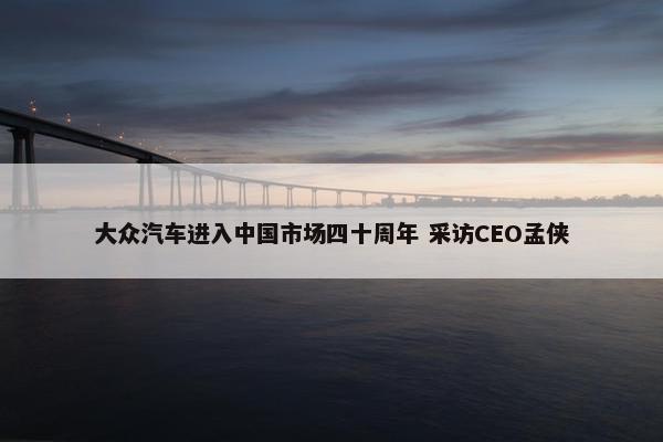 大众汽车进入中国市场四十周年 采访CEO孟侠