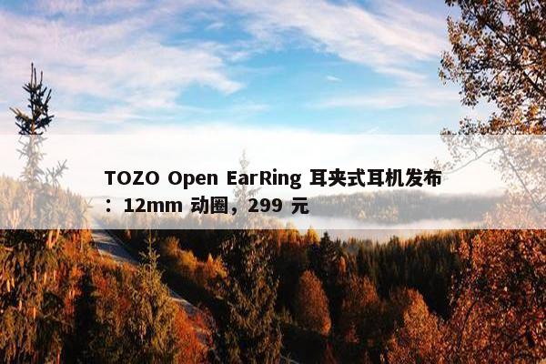 TOZO Open EarRing 耳夹式耳机发布：12mm 动圈，299 元