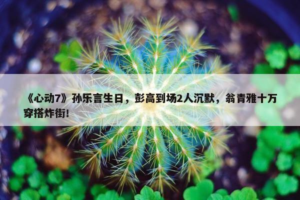 《心动7》孙乐言生日，彭高到场2人沉默，翁青雅十万穿搭炸街！