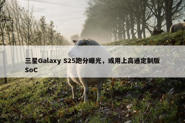 三星Galaxy S25跑分曝光，或用上高通定制版SoC