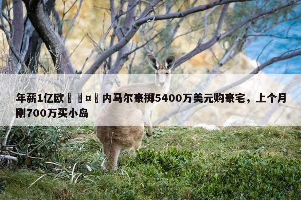 年薪1亿欧🤑内马尔豪掷5400万美元购豪宅，上个月刚700万买小岛