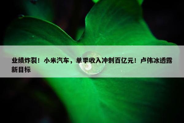 业绩炸裂！小米汽车，单季收入冲刺百亿元！卢伟冰透露新目标