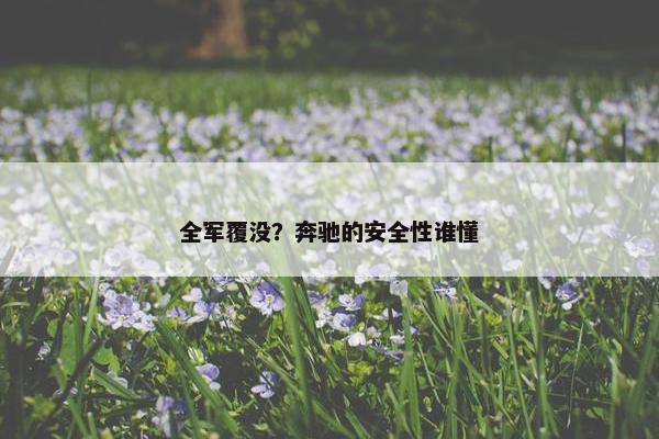 全军覆没？奔驰的安全性谁懂