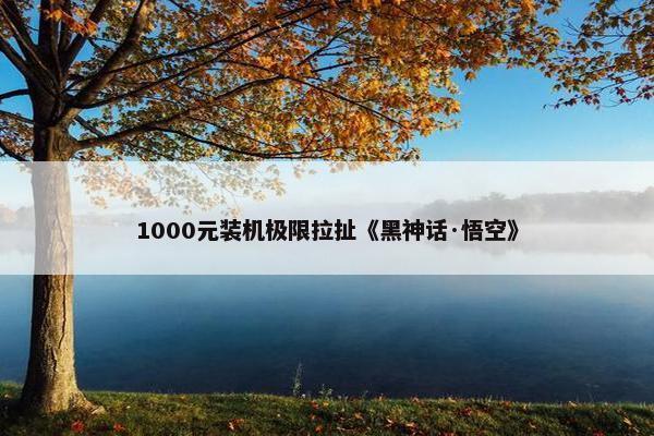 1000元装机极限拉扯《黑神话·悟空》