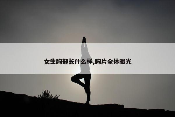 女生胸部长什么样,胸片全体曝光