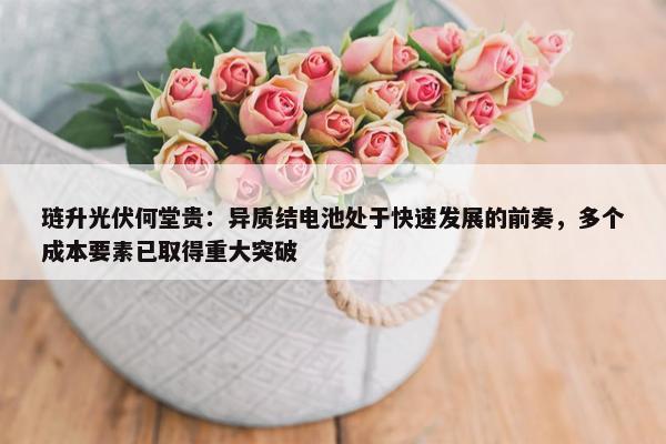 琏升光伏何堂贵：异质结电池处于快速发展的前奏，多个成本要素已取得重大突破