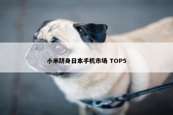 小米跻身日本手机市场 TOP5