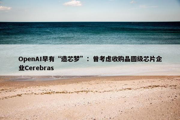 OpenAI早有“造芯梦”：曾考虑收购晶圆级芯片企业Cerebras