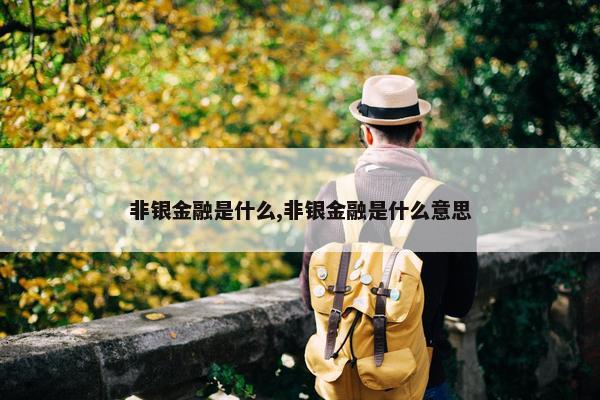 非银金融是什么,非银金融是什么意思