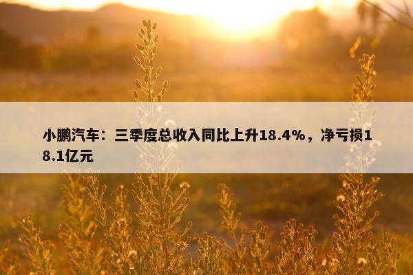 小鹏汽车：三季度总收入同比上升18.4%，净亏损18.1亿元