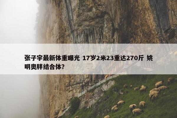 张子宇最新体重曝光 17岁2米23重达270斤 姚明奥胖结合体？