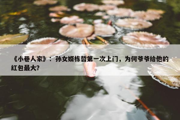 《小巷人家》：孙女婿栋哲第一次上门，为何爷爷给他的红包最大？