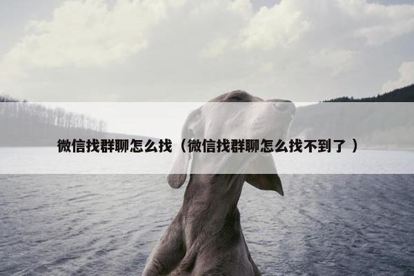 微信找群聊怎么找（微信找群聊怎么找不到了 ）