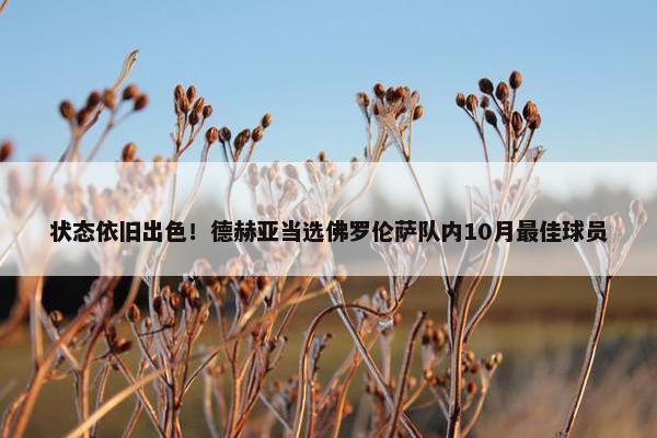 状态依旧出色！德赫亚当选佛罗伦萨队内10月最佳球员