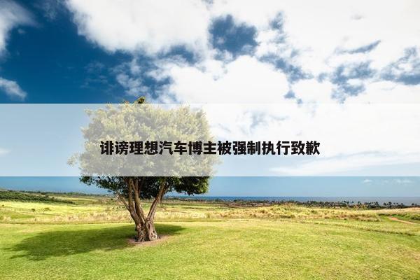 诽谤理想汽车博主被强制执行致歉