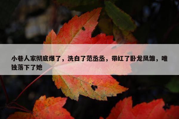 小巷人家彻底爆了，洗白了范丞丞，带红了卧龙凤雏，唯独落下了她