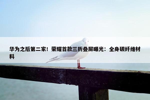 华为之后第二家！荣耀首款三折叠屏曝光：全身碳纤维材料