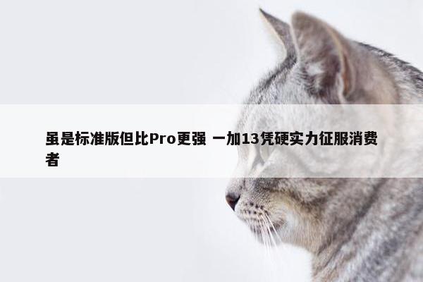 虽是标准版但比Pro更强 一加13凭硬实力征服消费者