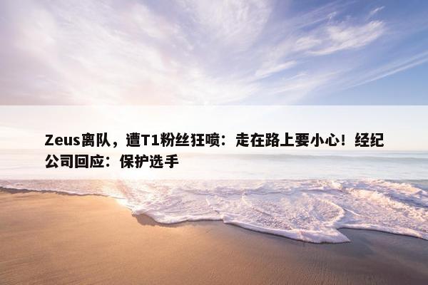 Zeus离队，遭T1粉丝狂喷：走在路上要小心！经纪公司回应：保护选手