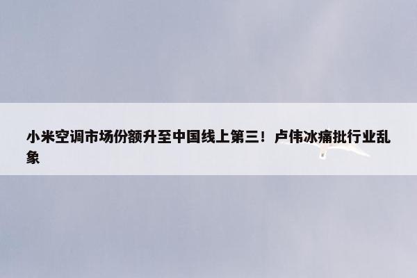 小米空调市场份额升至中国线上第三！卢伟冰痛批行业乱象