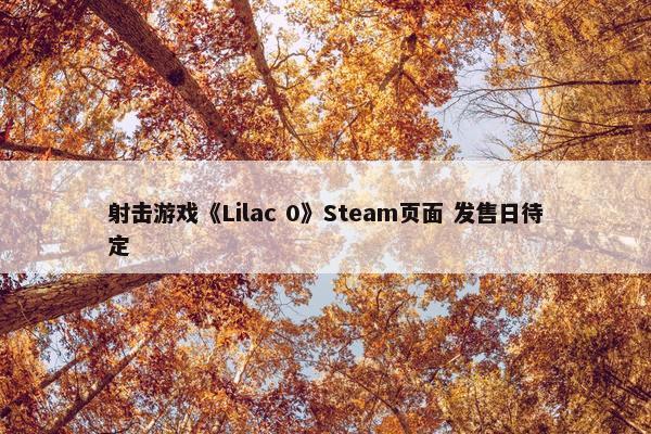 射击游戏《Lilac 0》Steam页面 发售日待定