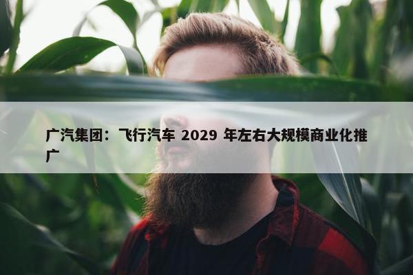 广汽集团：飞行汽车 2029 年左右大规模商业化推广