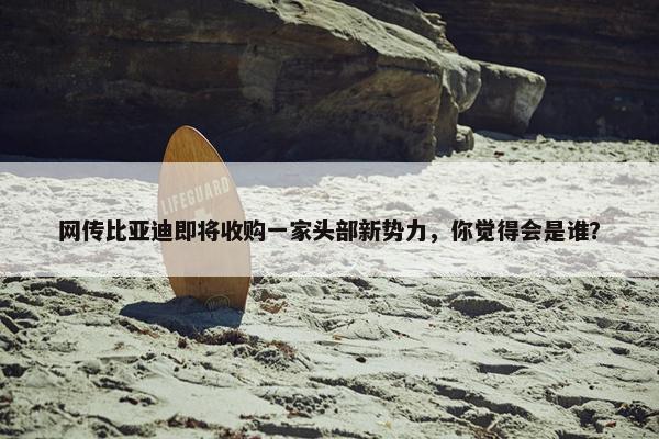 网传比亚迪即将收购一家头部新势力，你觉得会是谁？