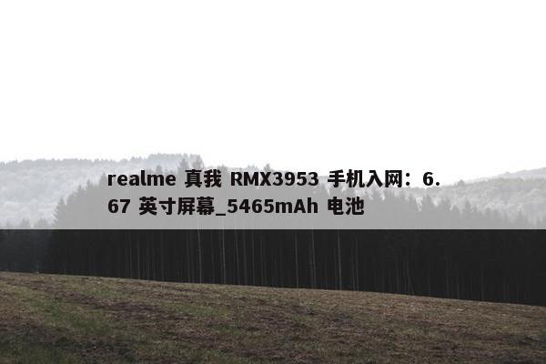 realme 真我 RMX3953 手机入网：6.67 英寸屏幕_5465mAh 电池