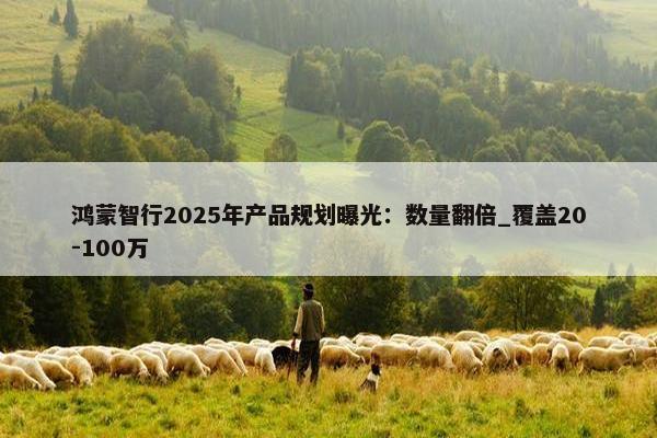 鸿蒙智行2025年产品规划曝光：数量翻倍_覆盖20-100万