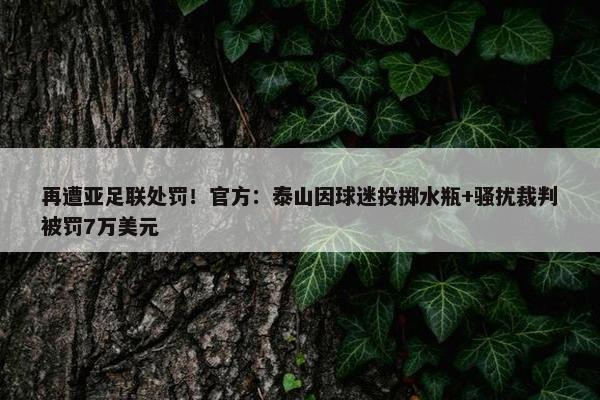 再遭亚足联处罚！官方：泰山因球迷投掷水瓶+骚扰裁判被罚7万美元