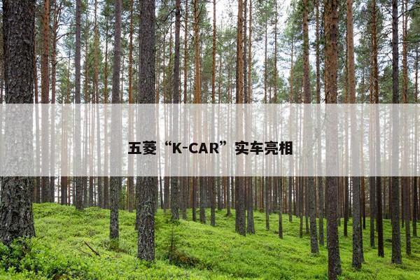 五菱“K-CAR”实车亮相