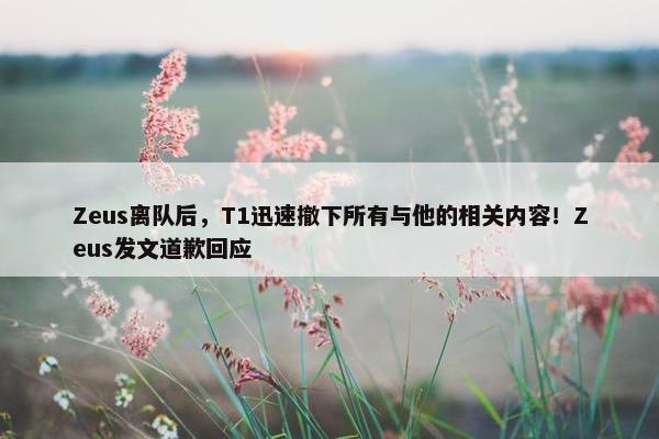 Zeus离队后，T1迅速撤下所有与他的相关内容！Zeus发文道歉回应