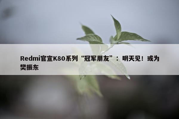 Redmi官宣K80系列“冠军朋友”：明天见！或为樊振东