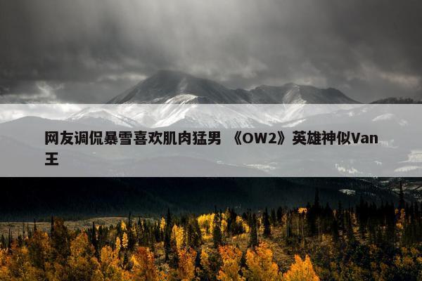 网友调侃暴雪喜欢肌肉猛男 《OW2》英雄神似Van王