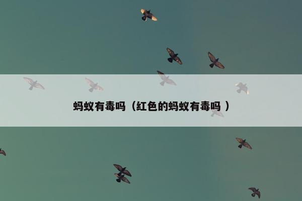 蚂蚁有毒吗（红色的蚂蚁有毒吗 ）