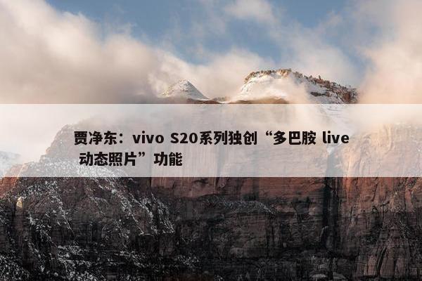 贾净东：vivo S20系列独创“多巴胺 live 动态照片”功能